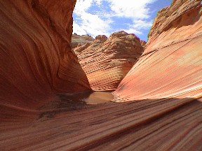 ANKLICKEN: The Wave