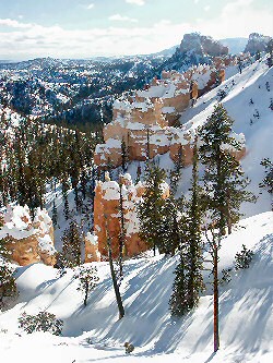 ANKLICKEN: Schnee im Bryce Canyon