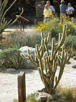 ANJKLICKEN: Flora am Visitor Center