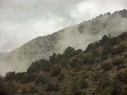 ANKLICKEN: The Fog
