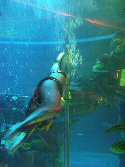 ANKLICKEN: Meerjungfern in der Outdoor-World