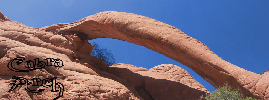 Cobra Arch