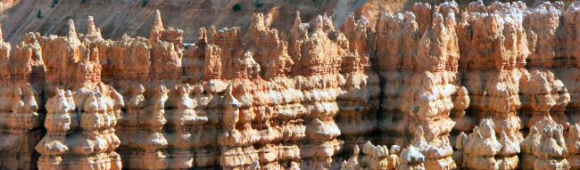 Die "Soldaten" des Bryce Canyon