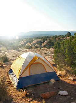 ANKLICKEN: Morgensonne im Paradies