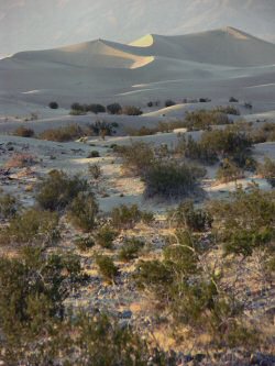 ANKLICKEN: Sonnenuntergang bei den Dnen von Stovepipe Wells