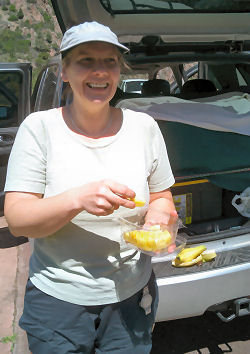 Anita verpflegt uns mit frischer Ananas