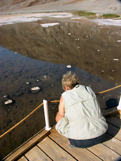 Anita hockt vor dem grer werdenden See