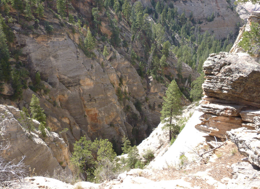 Blick ins Tal vom Eastrim-Trail