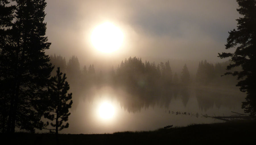 Morgenstimmung im Yellowstone