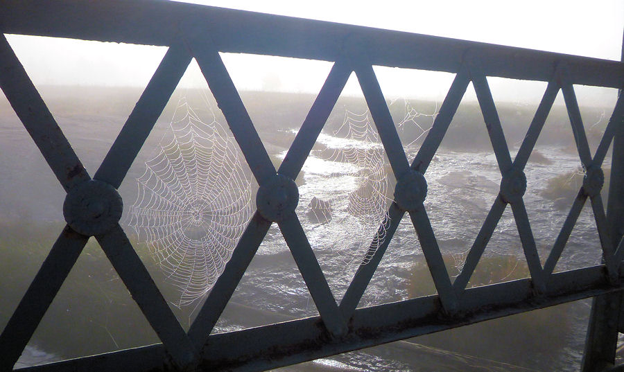Spinnweben in einer Brcke