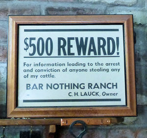 Schild mit 500Dollar Belohnung