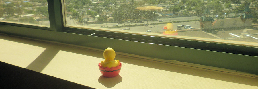 Boulder Station Ente am Fenster