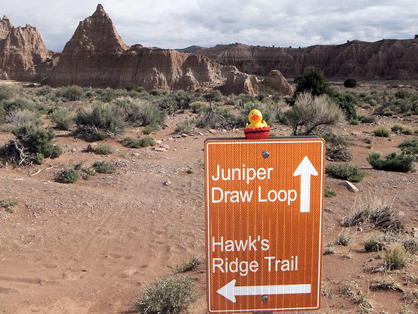 Cathedral Gorge State Park, Hawks Ridge Trail, Schild mit Ente