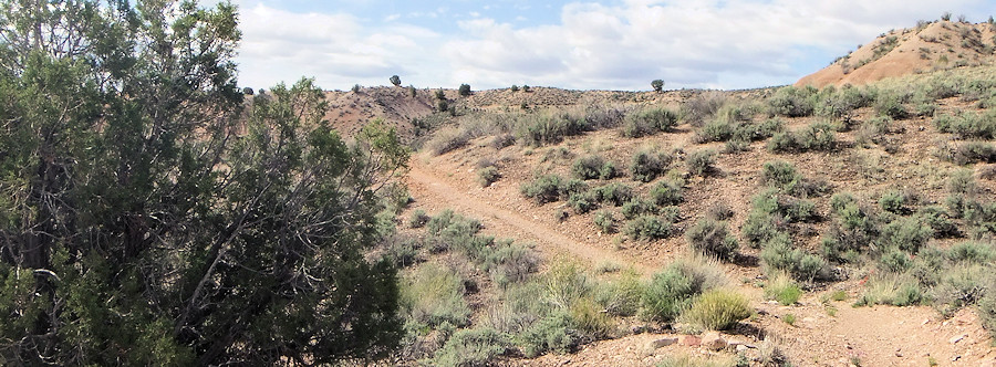 Cathedral Gorge State Park, Hawks Ridge Trail, Trail geht nach oben