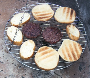 Coral Pink Sand Dunes Campsite Grill