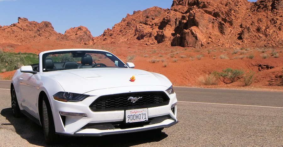 Valley of Fire, Mustang mit Ente als Khlerfigur