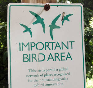 Tag10_Antelope Island_Fielding Ranch_Schild_Birds