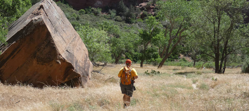 Tag13_Zion_ScenicDrive, Anita in der Steppe