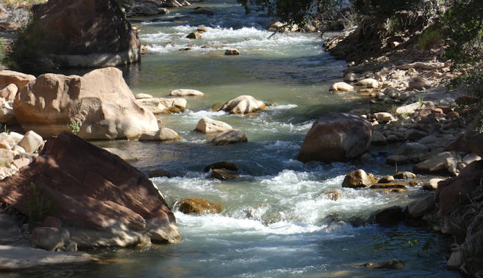 Tag14_Zion_Parus-Trail, Virgin River