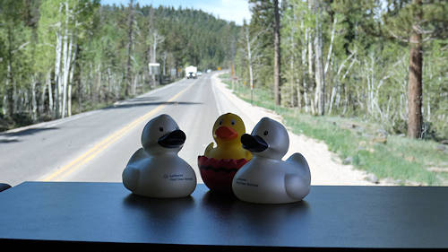 Tag15_Fahrt zum TE-AH Campground, Duck Creek