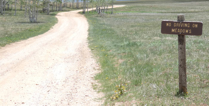 Tag15_TE-AH Campground, Weg zum Trailhead