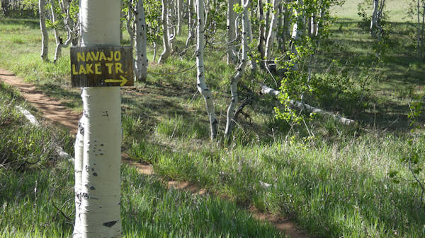 Tag16_TE-AH Campground, Navajo Trail Schild