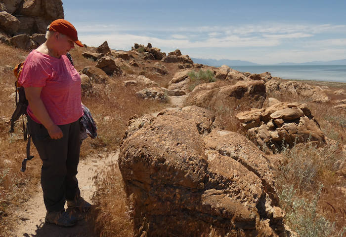 Tag9_Antelope Island_Camper vor Gebirgskulisse