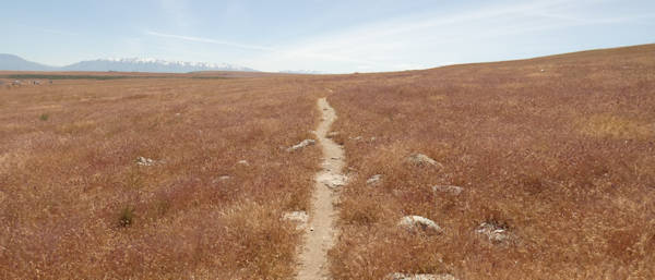 Tag9_Antelope Island_Lake Side Loop, Weg wie durch die Tundra
