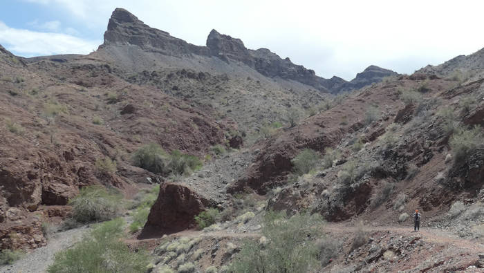 2025-04-02 Buckskin Trail, Anita auf Trail