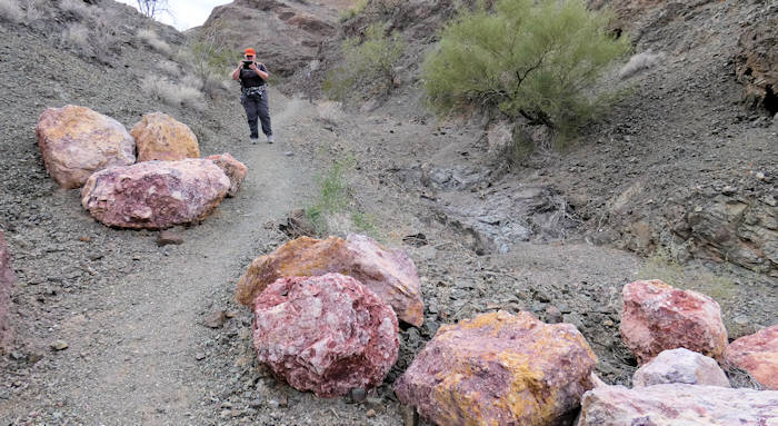 2025-04-02 Buckskin Trail, bunte Steine auf dem Weg