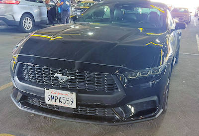 2025-04-14 Las Vegas Mustang