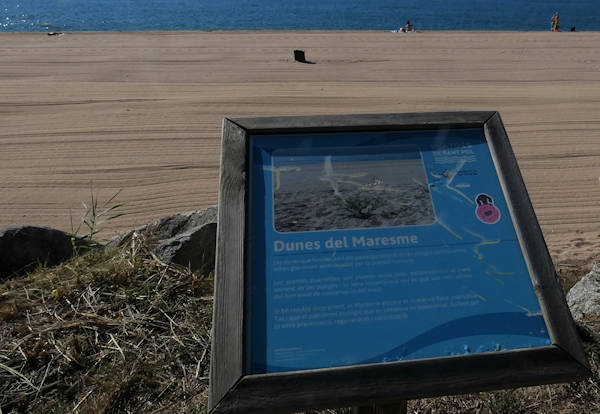 Dunes de Meresma