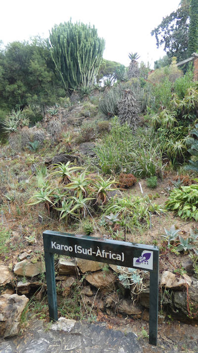 Jardi Botanica 1