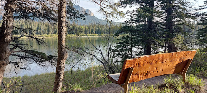 Bow Valley Campground, Blick auf den Bow Valley mit Bank im Vordergrund