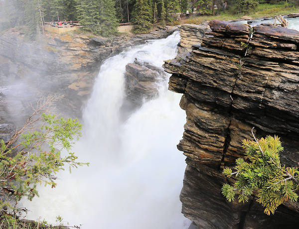 Fahrt Jasper - Banff, Athabasca Falls