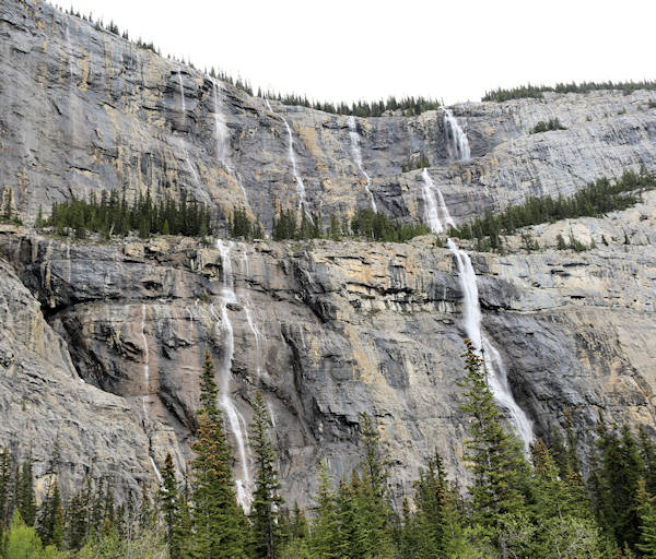 Fahrt Jasper - Banff, Bridal Veoil Falls oder Weeping Wall