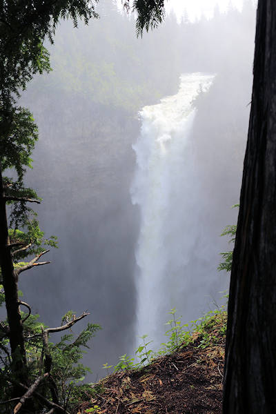 Helmcken Falls, Fall im Hochformat