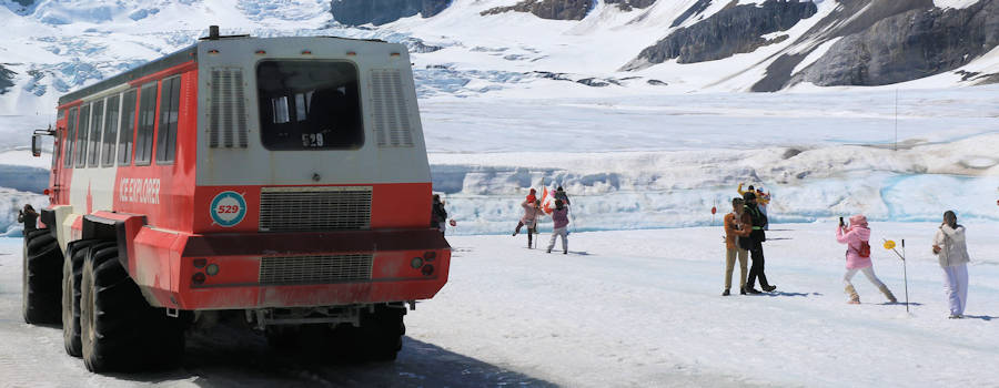 Icefields, Iceexplorer von hinten und Touristen auf dem Gletscher