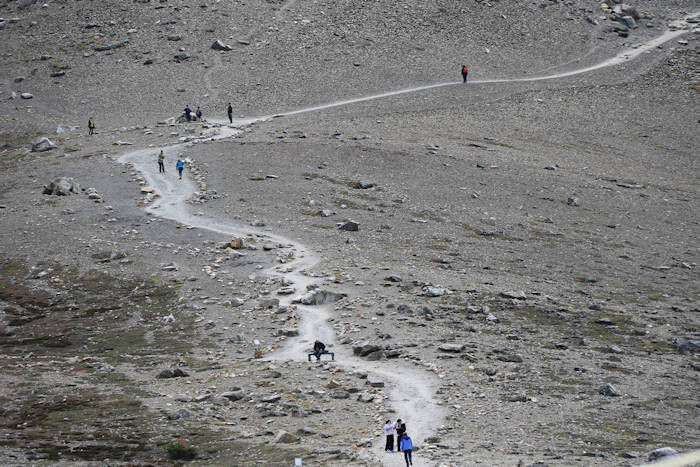 Jasper, Sky Tram, Trail zum Gipfel