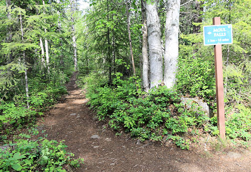 Moul Falls, Trail, Waldweg, enger