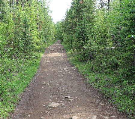 Moul Falls, Trail, Waldweg